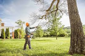 Best Pest Control for Lawns  in Smithville, TX