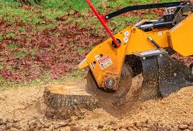 Best Tree Mulching  in Smithville, TX