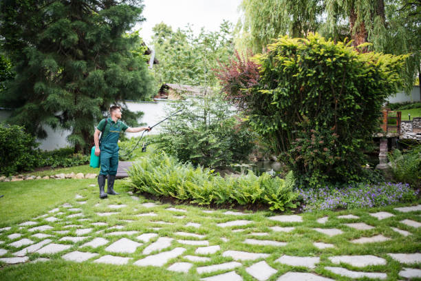 Best Lawn Watering Services  in Smithville, TX